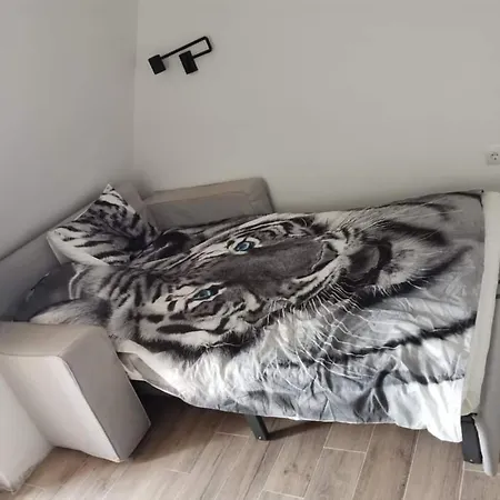 Planinski Mir A19 Дивчибаре