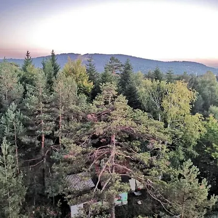 Апартаменты Planinski Mir A19