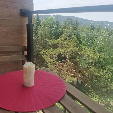 Апартаменты Planinski Mir A19