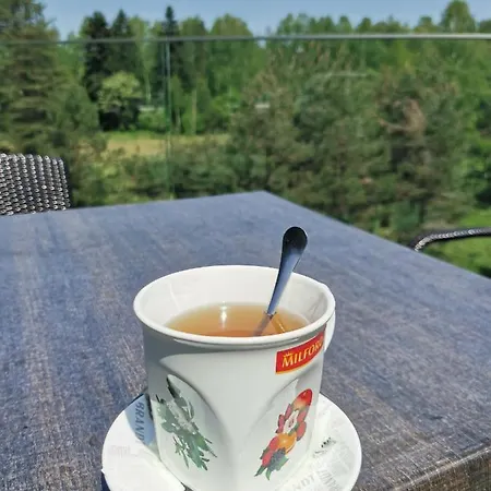 Planinski Mir A19 Дивчибаре